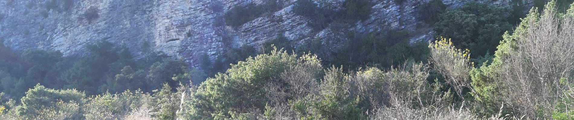 Randonnée Marche Villeneuve-lès-Avignon - trou de la lune - Photo