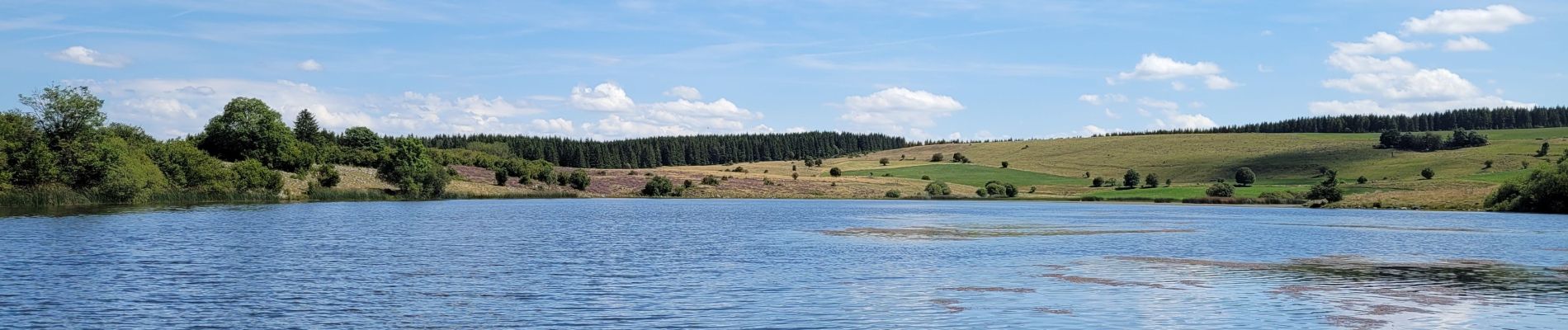 Tocht Stappen Dienne - Lioran 2023-08-15 Tour des lacs Sauvages - Photo