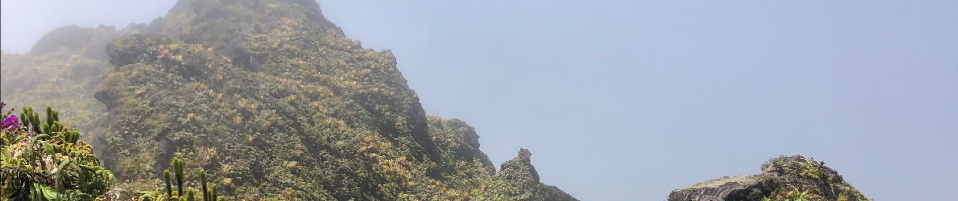 Tour Wandern Le Prêcheur - Le prêcheur mont pelé  - Photo