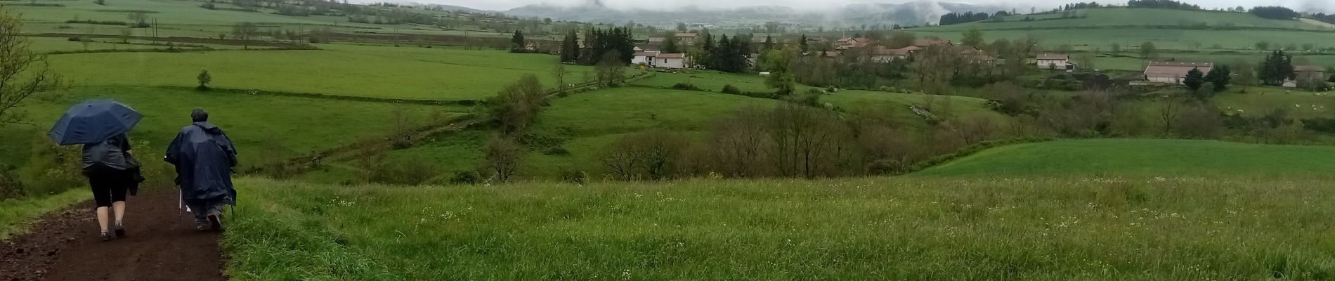 Tocht Stappen Le Monastier-sur-Gazeille - 2 Stevenson Le Monastier sur Gazeille - Le Bouchet St Nicolas - Photo