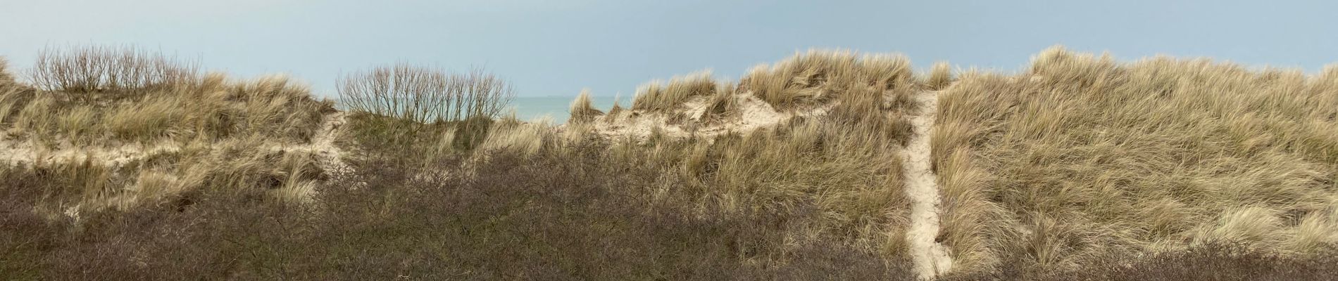 Tour Wandern De Haan - Le Coq (De haan) 1 - Photo