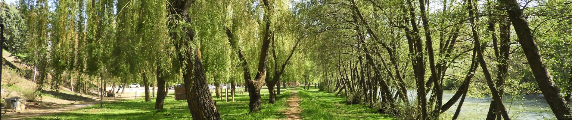 Randonnée Marche Boadilla del Camino - 26.04.18 Boadilla del Camino--Carrion de los Condes - Photo