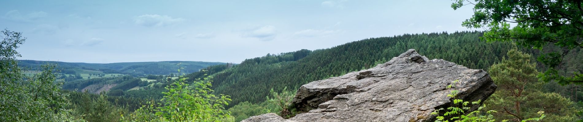 Trail Walking Malmedy - Les deux rochers  - Photo