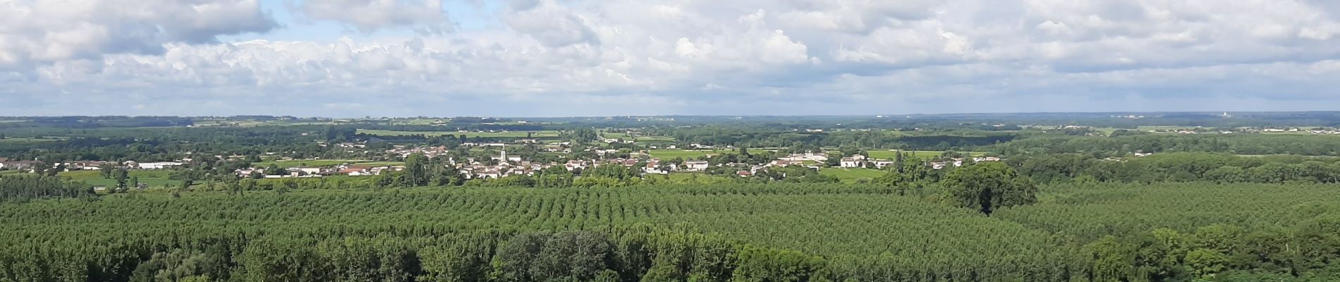 Randonnée Marche Sainte-Croix-du-Mont - Circuit Ste. Croix du mont / Verdelais / St. Maixant - Photo