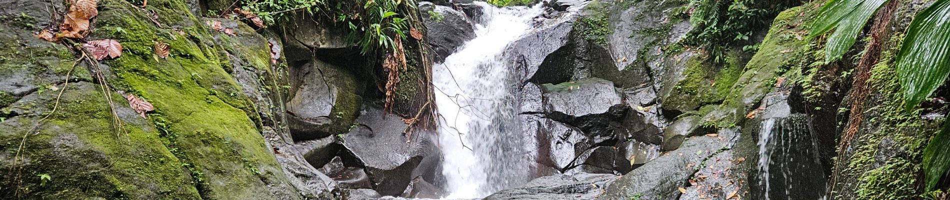 Excursión Senderismo Capesterre-Belle-Eau - cascades carmichaël - Photo