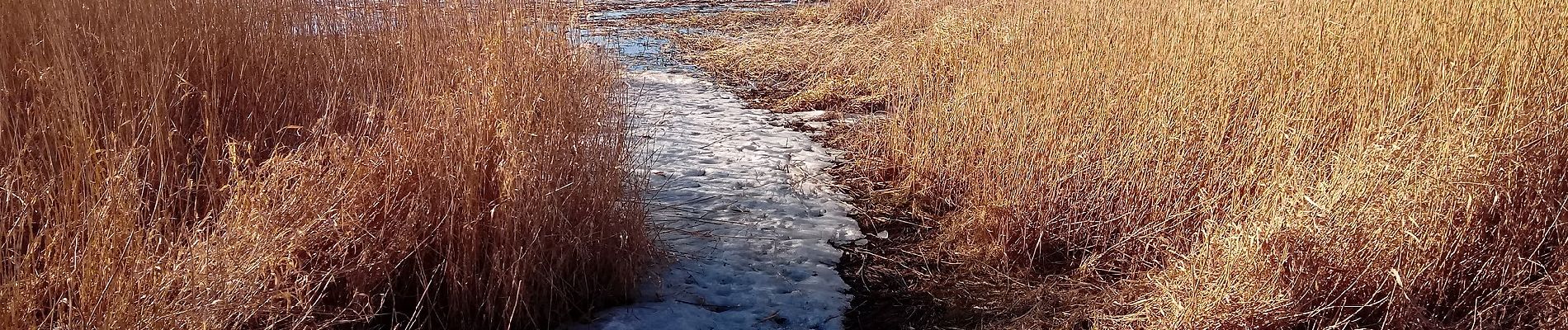 Percorso A piedi Gardna Wielka - Gardnieńskie Lęgi - Photo