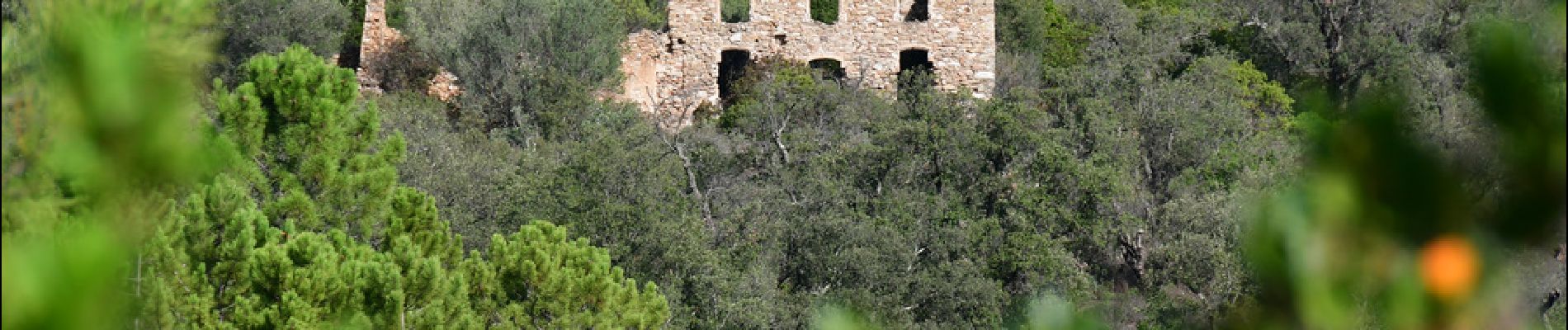 Percorso Marcia Roquebrune-sur-Argens - La Bergerie - Piste des Clapiers - Bastide Abbe - Photo