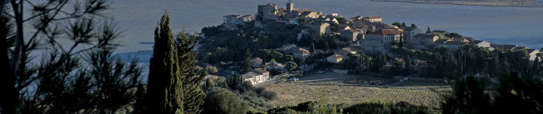 Tour Wandern Bages - Boucle de Bages à Peyrac-de-Mer - Photo