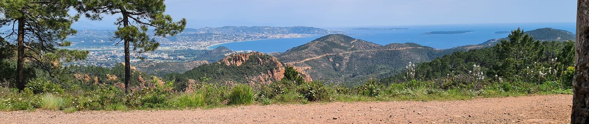 Excursión Bici de montaña Mandelieu-la-Napoule - esterel - Photo