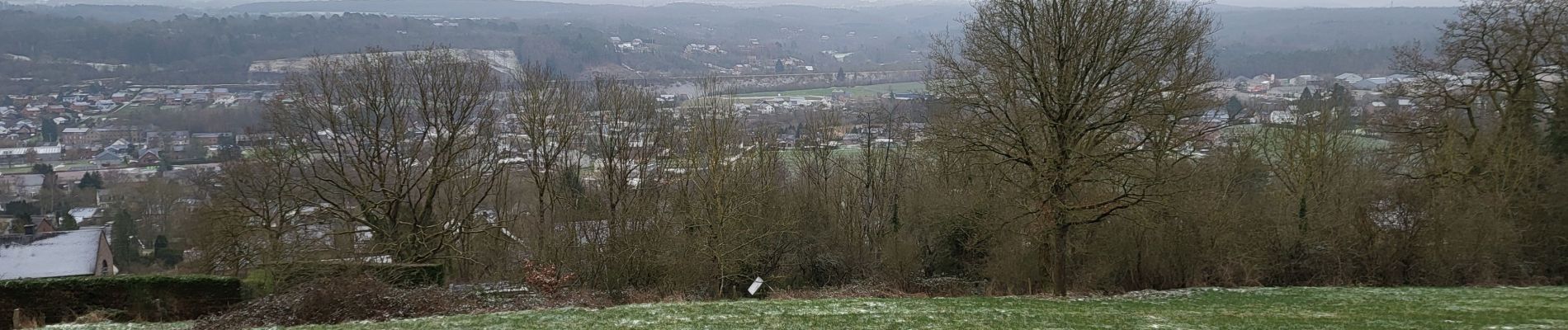 Randonnée Marche Durbuy - Bar Vaux sur Ourthe 140124 - Photo