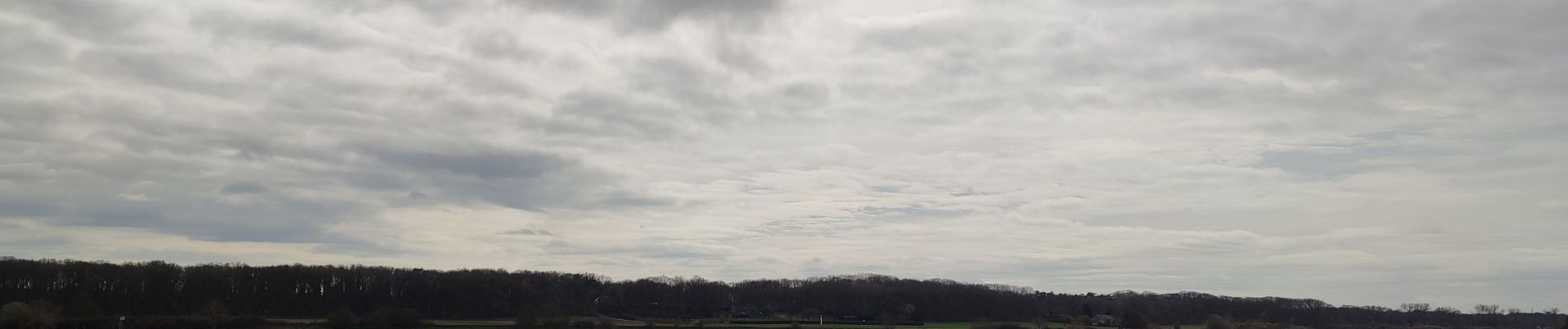 Tocht Elektrische fiets Horst aan de Maas - Het Meerdal - Maas  - Photo