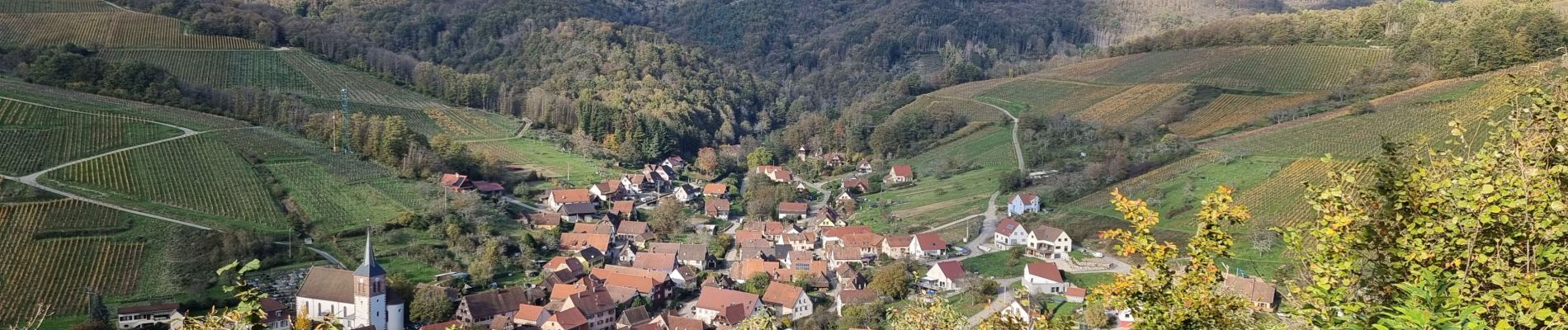 Tour Wandern Erlenbach - ARCA Albé - Photo