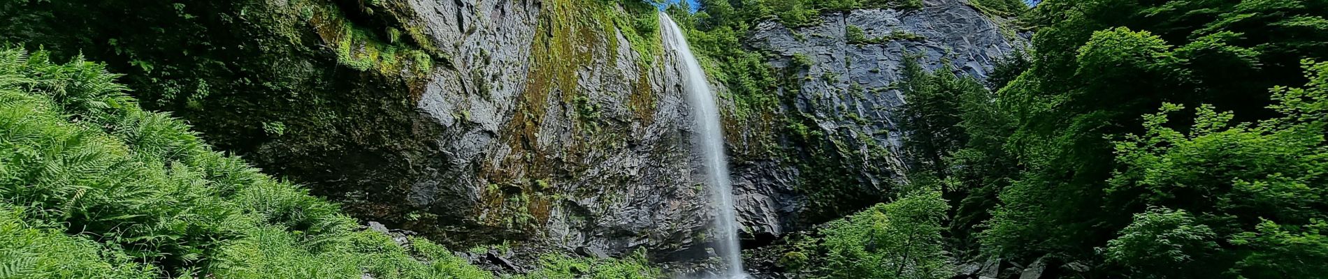 Tour Wandern Mont-Dore - 2021-07-05 la grande cascade Mont Dore - Photo