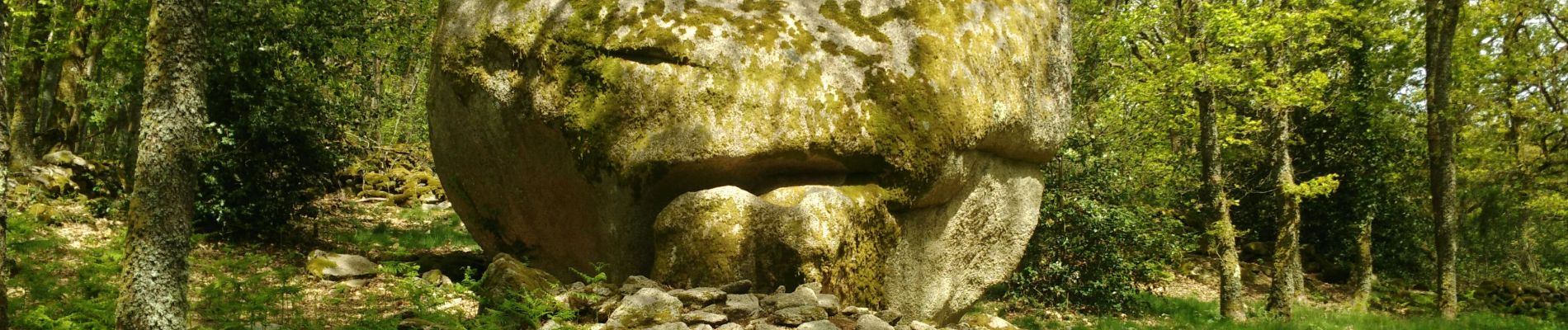 Excursión Senderismo Toulx-Sainte-Croix - les pierres jaumatres (Toulx st croix) - Photo