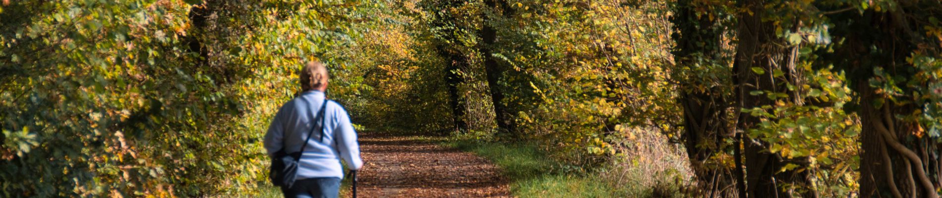 Randonnée Marche Perche en Nocé - Nocé-Courboyer - Rémalard 14 km - Photo