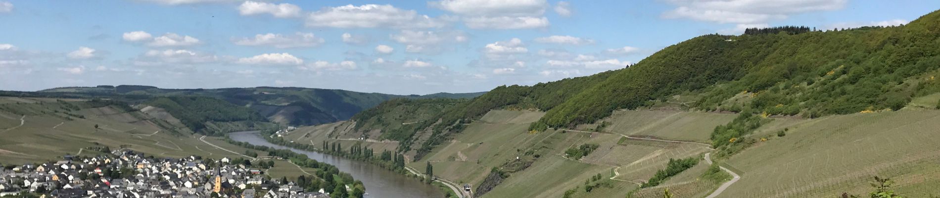 Randonnée Marche Leiwen - Zummeterhof 19 km - Photo