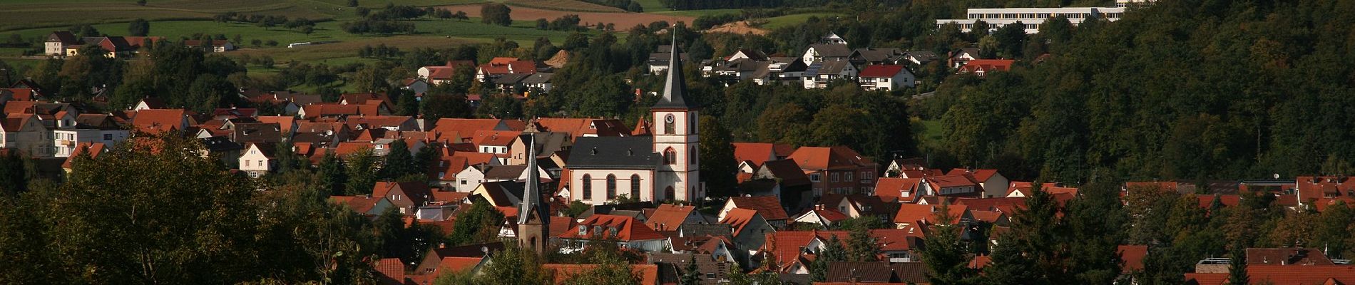 Percorso A piedi Reichelsheim (Odenwald) - Rundwanderweg Reichelsheim Teufelstein 2: Panoramaweg - Photo