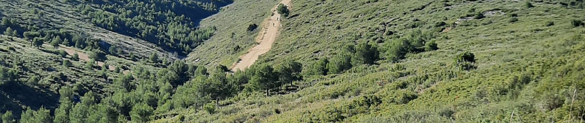 Tour Wandern Marseille - de palama à  l étoile de Daniel  - Photo