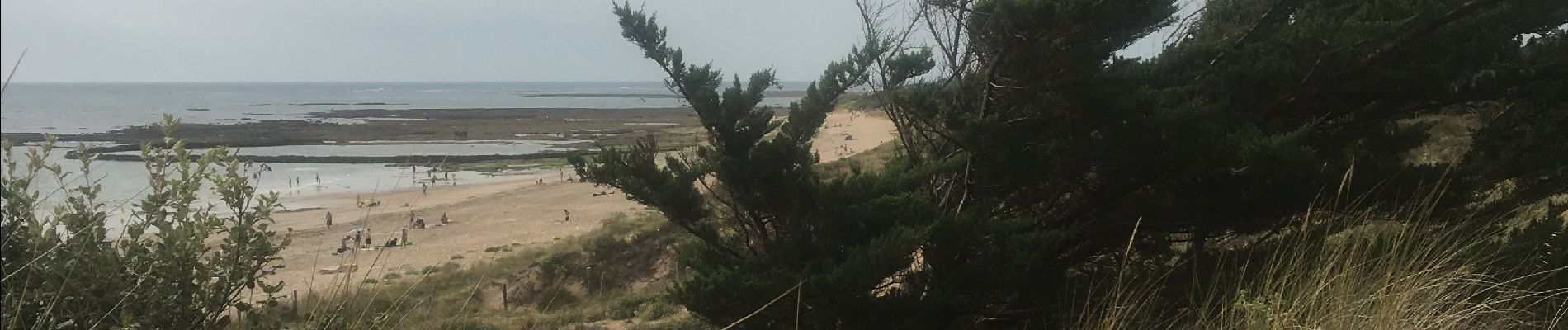 Randonnée Marche Saint-Pierre-d'Oléron - Balade japonaise La Mimiche - Photo