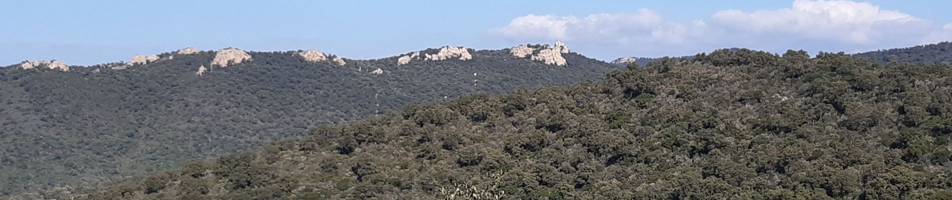 Tour Wandern La Londe-les-Maures - le dolmen de Gauttabri - Photo