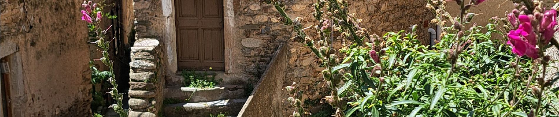 Tocht Stappen Roquebrun - Les ayrolles depuis Ceps - Photo