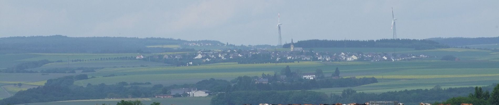 Randonnée A pied Bruttig-Fankel - Archäologischer Wanderweg - Photo