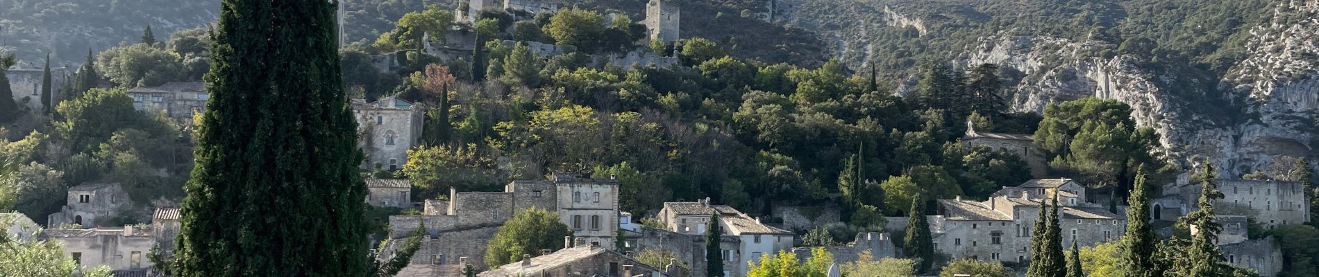 Excursión Senderismo Oppède - PF-Oppède-le-Vieux - Sentier vigneron - Forteresse et Collégiale - Photo