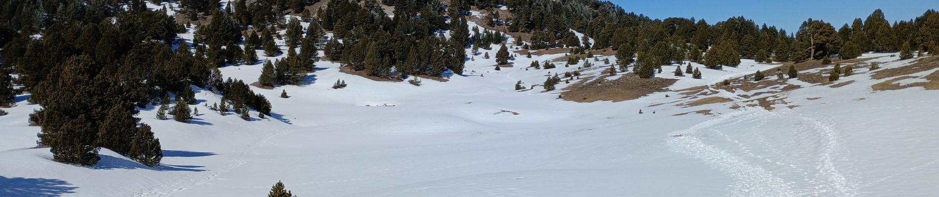 Tour Wandern Gresse-en-Vercors - pré Peyret - Vallon de Combeau - Photo