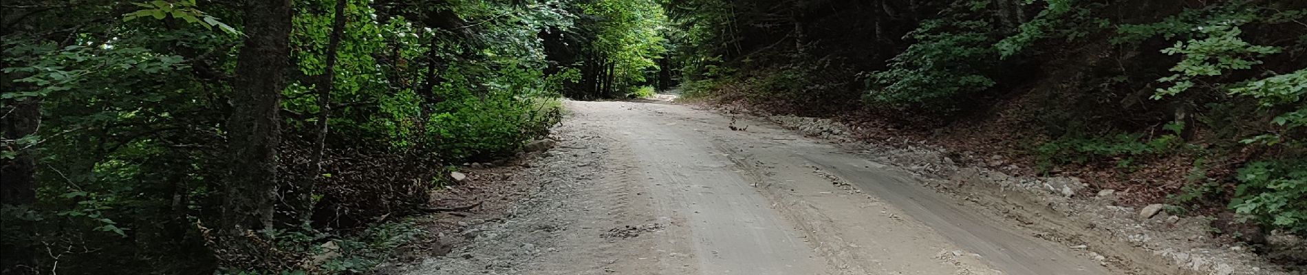 Trail Walking Mosset - col de jai - Photo