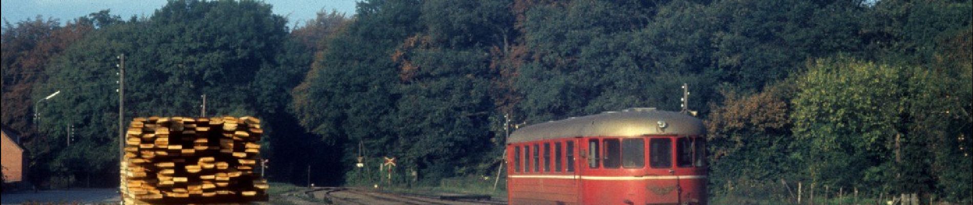 Tour Zu Fuß Unknown - Sporet i Tersløse Skov - Photo