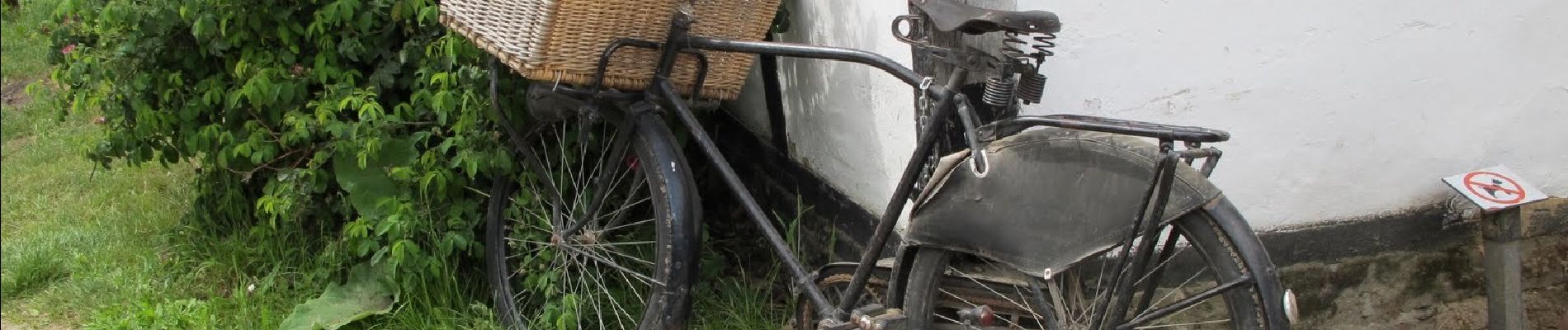 Tocht Te voet Genk - Bokrijk Gele zeshoek (voor rolstoel/buggy) - Photo