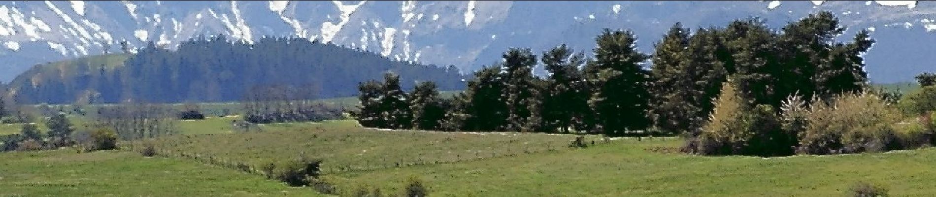 Randonnée Marche Aydat - Landes de Fohet - Photo