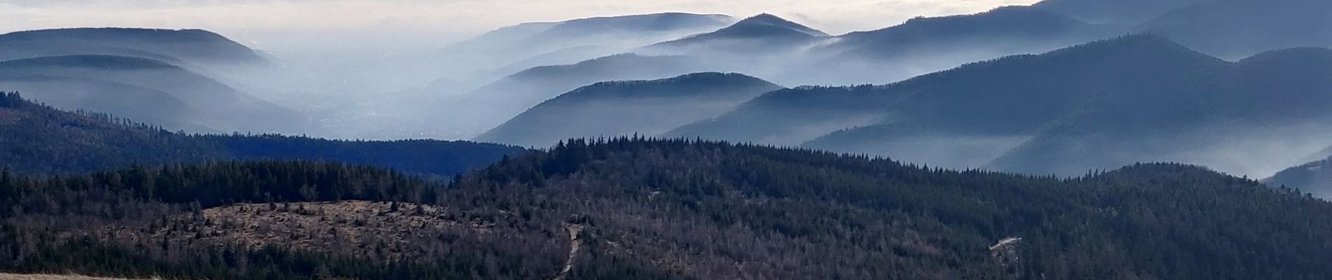 Tocht Stappen Sondernach - 2020-01-02 Marche Landersen Petit Ballon - Photo