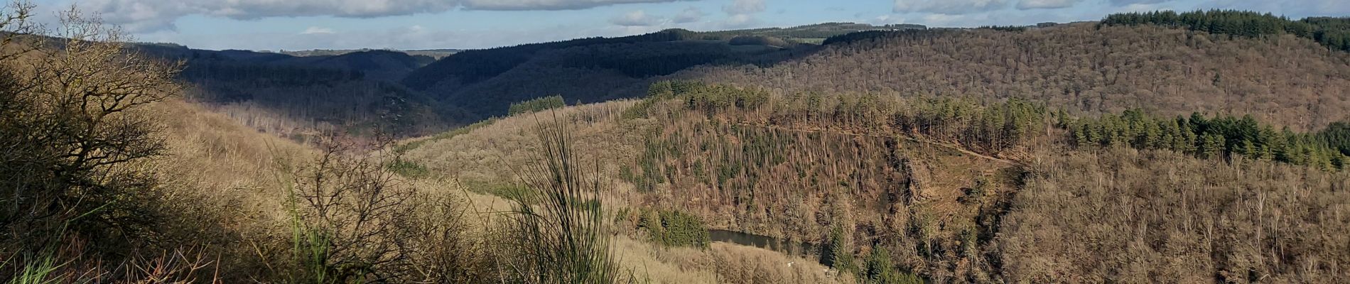 Tocht Stappen Bouillon - Rochehaut 110222 - Photo