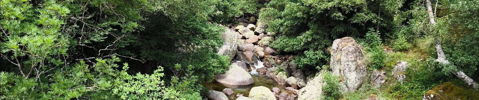 Randonnée Marche Pont de Montvert - Sud Mont Lozère - Pont de Montvert / Pont du Tarn  - Photo