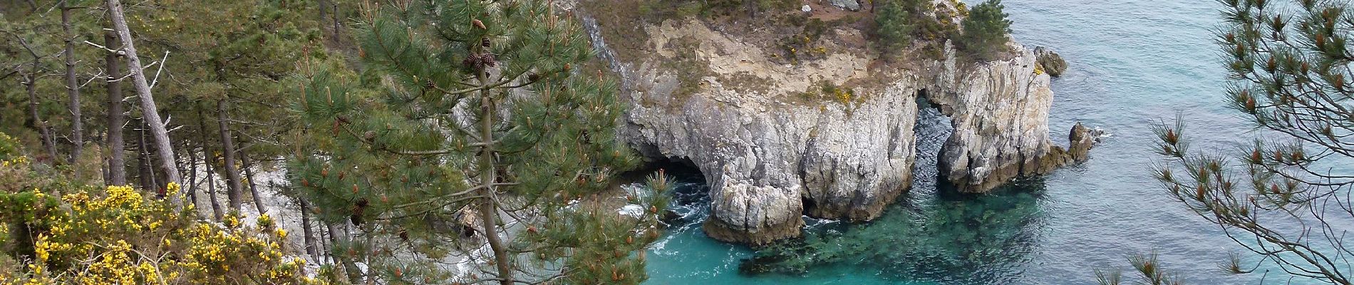 Tour Zu Fuß Crozon - L'Anse Saint-Nicolas - Photo