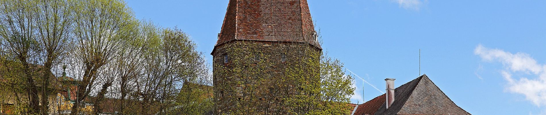 Tour Zu Fuß Gemeinde Zwettl-Niederösterreich - Naturfreundeweg 11 - Photo