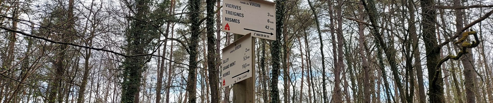 Tour Wandern Viroinval - olloy sur viroin 030422 - Photo