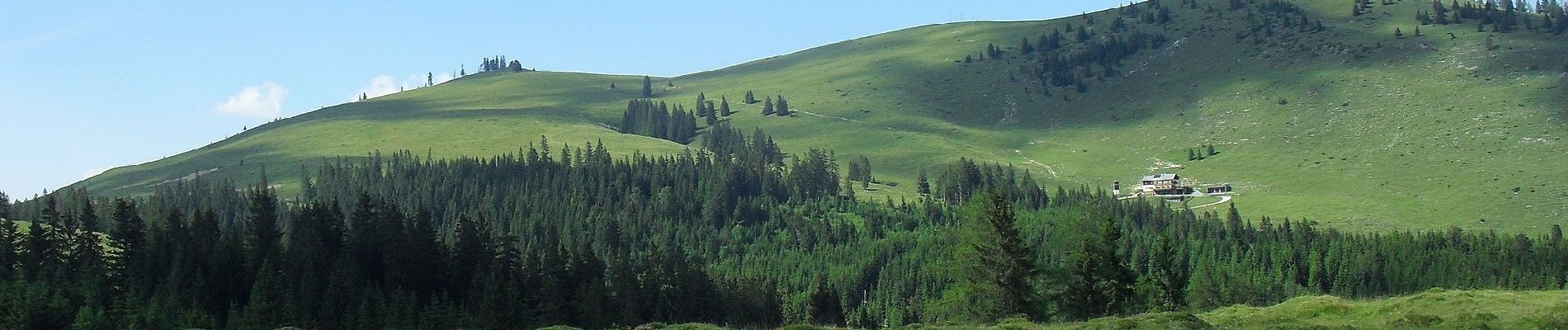 Percorso A piedi Abtenau - Postalm Rundweg 2 - Photo