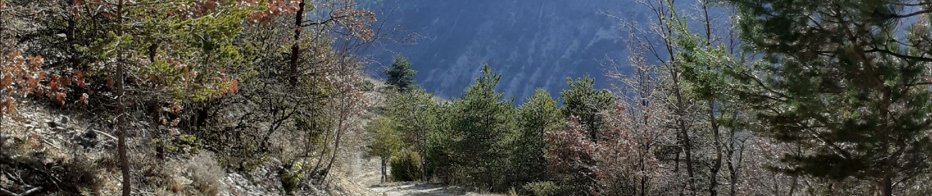 Tour Wandern Bézaudun-sur-Bîne - tout du gourdon - Photo