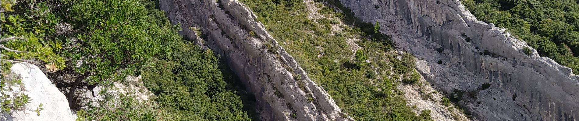 Excursión Senderismo Plan-d'Aups-Sainte-Baume - plan d'aups ste baume - Photo