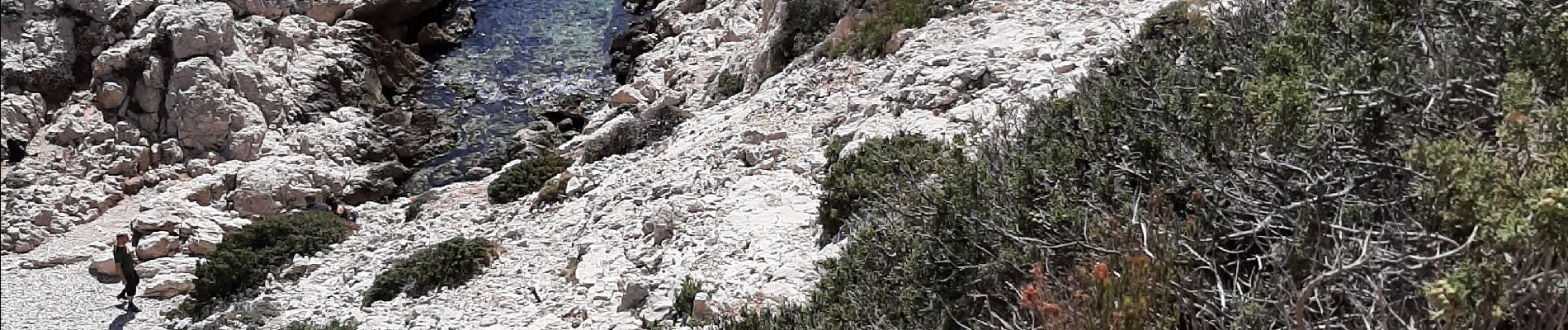 Tocht Stappen Marseille - Callelongue les trois arches - Photo