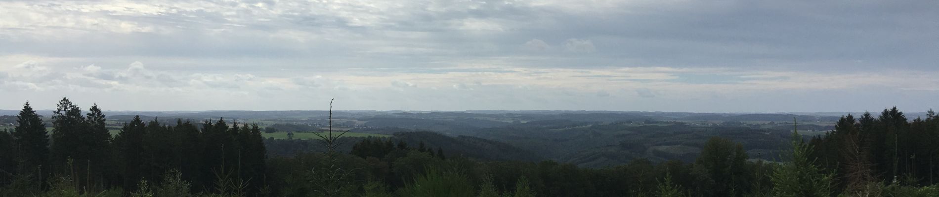 Tocht Stappen La Roche-en-Ardenne - Adeps Samree 2019 - Photo