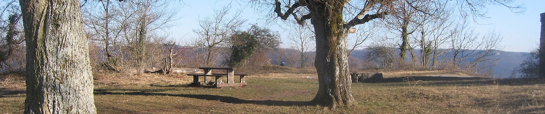 Tour Zu Fuß Eningen unter Achalm - blaues Dreieck Metzingen - Eningen - Photo