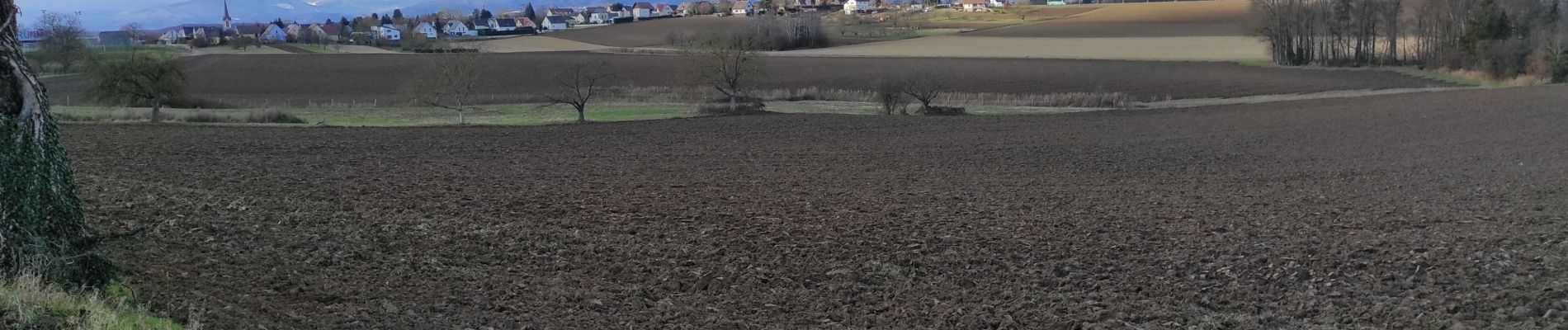 Randonnée Marche Heimsbrunn - Heimsbrunn Mors Haulibourg - Photo