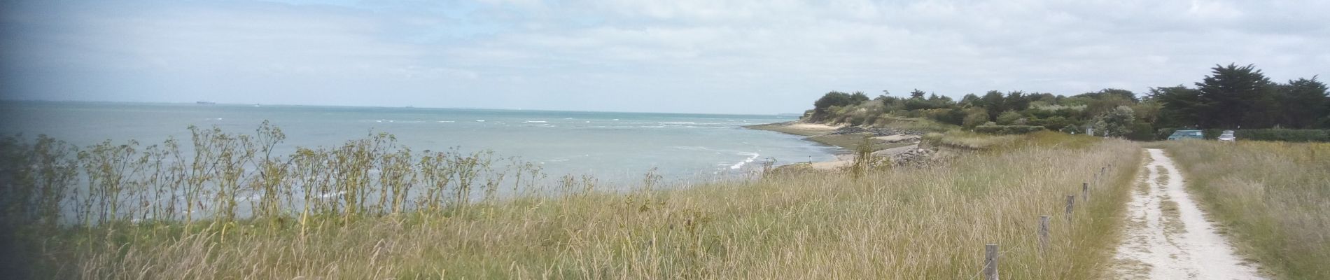 Tocht Stappen Saint-Denis-d'Oléron - St Denis d'Oléron - Photo