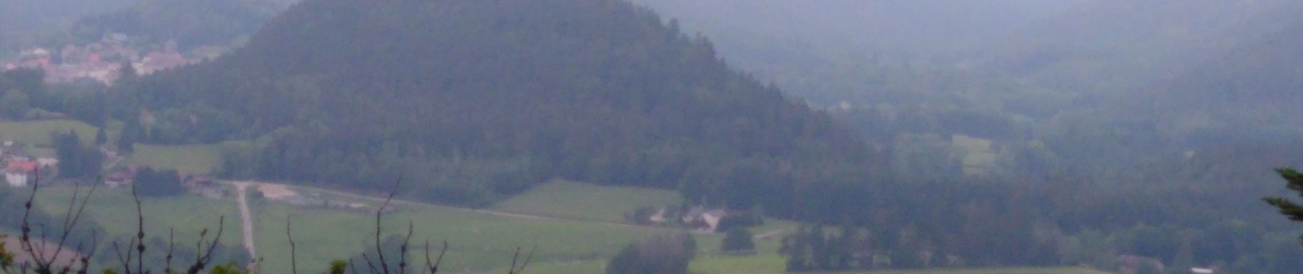 Randonnée Marche Champ-le-Duc - bruyeres - Photo