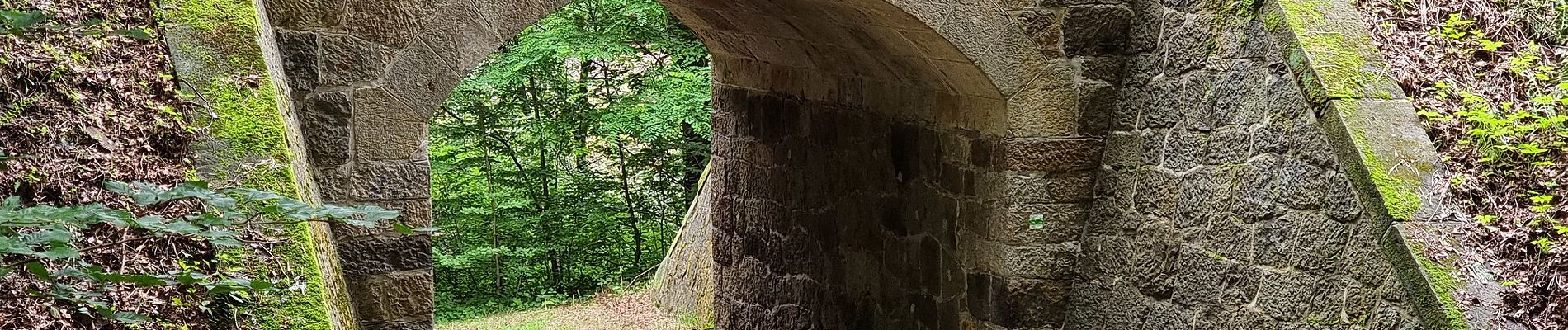 Percorso A piedi Neustadt in Sachsen - Grüner Punkt, Valtenberg - Photo