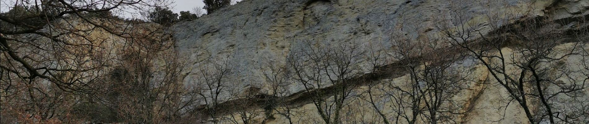 Tour Wandern Chantemerle-lès-Grignan - les creva es de chante merle - Photo