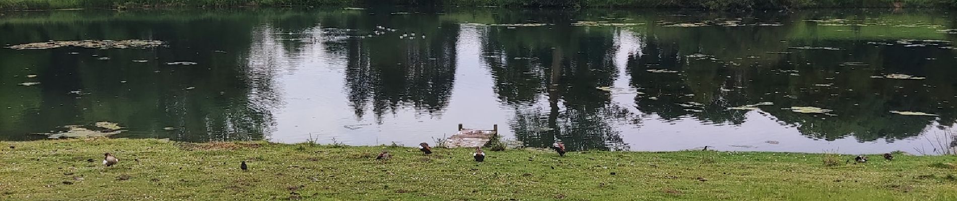 Tour Wandern Clavier - La promenade du Vicus Gallo-Romain - Photo